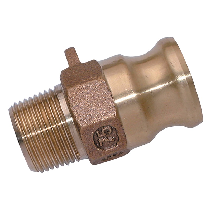 Camlock Brass BSPT Male Type F Threaded Plug