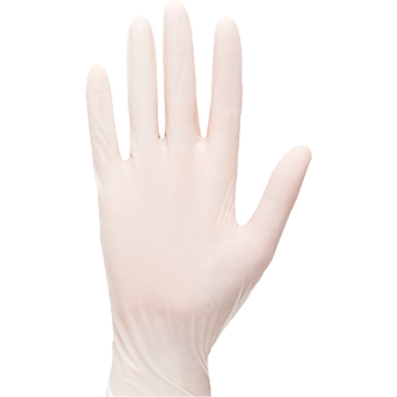 Latex Gloves Powdered (Pk100) – A910WHRL