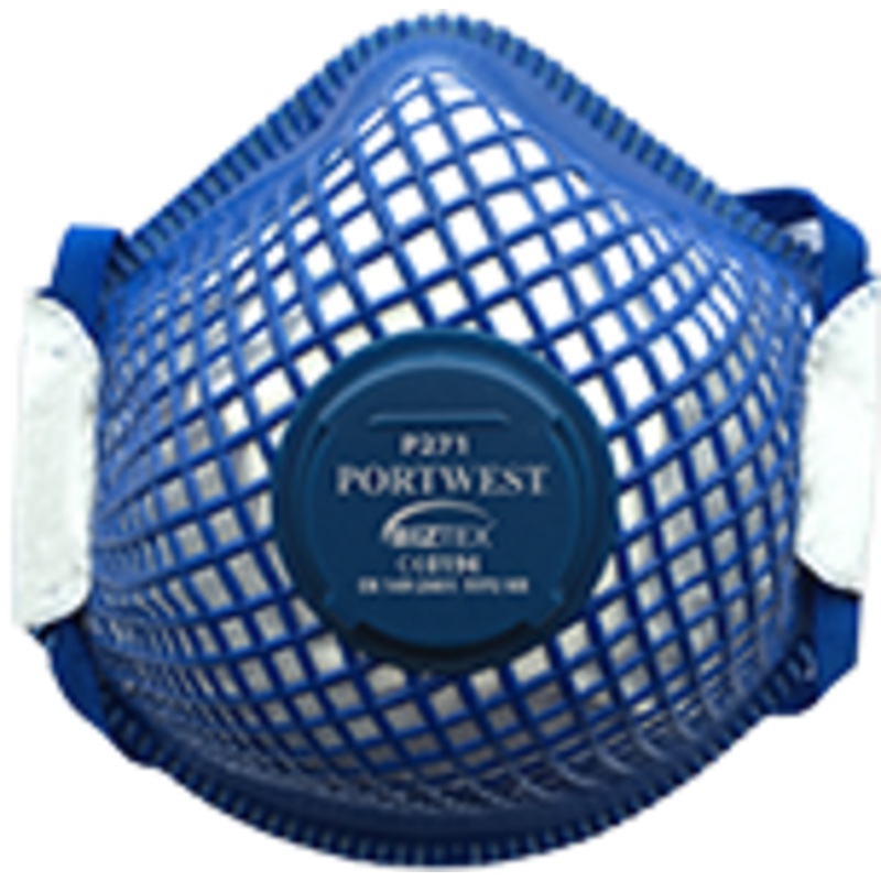 Ergonet FFP2 Respirator (10) – P271WHR