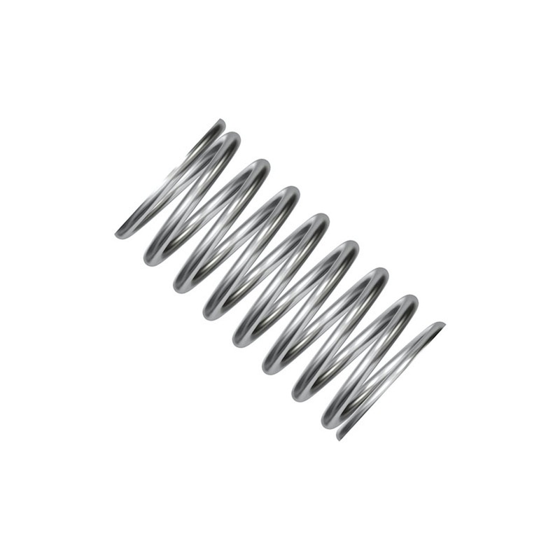 7446 Dellorto Mixture Screw Spring Rotax