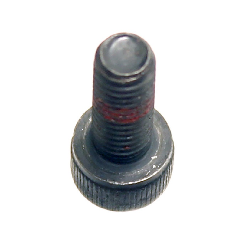 Iame X30 Clutch Block Bolt M6 X 16mm (Single)