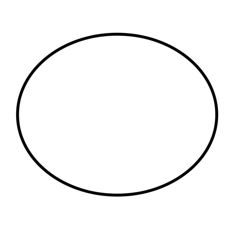 Rotax Max Head O Ring – Large