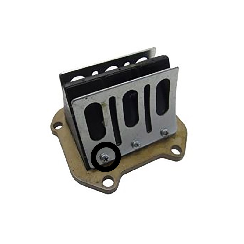 Rotax Max Screw For Reed Block 2020