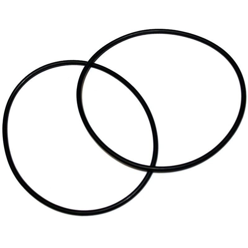 Water Pump Band Drive Belt X 1