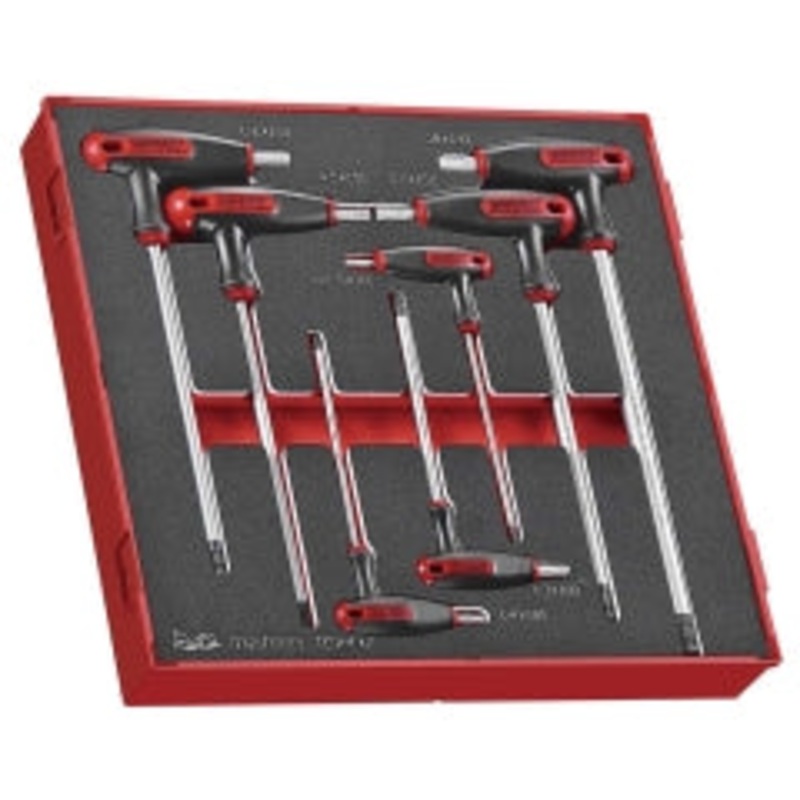 Teng 7pc T-Handle Hex Set 2.5-8mm – TED-Tray