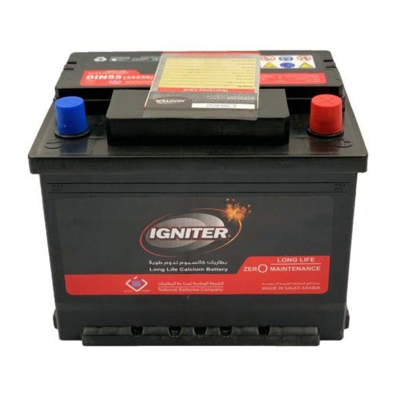 Igniter Battery 12V 100A (45/PAL) (PWLDIN100)